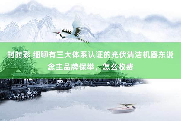 时时彩 细聊有三大体系认证的光伏清洁机器东说念主品牌保举，怎么收费